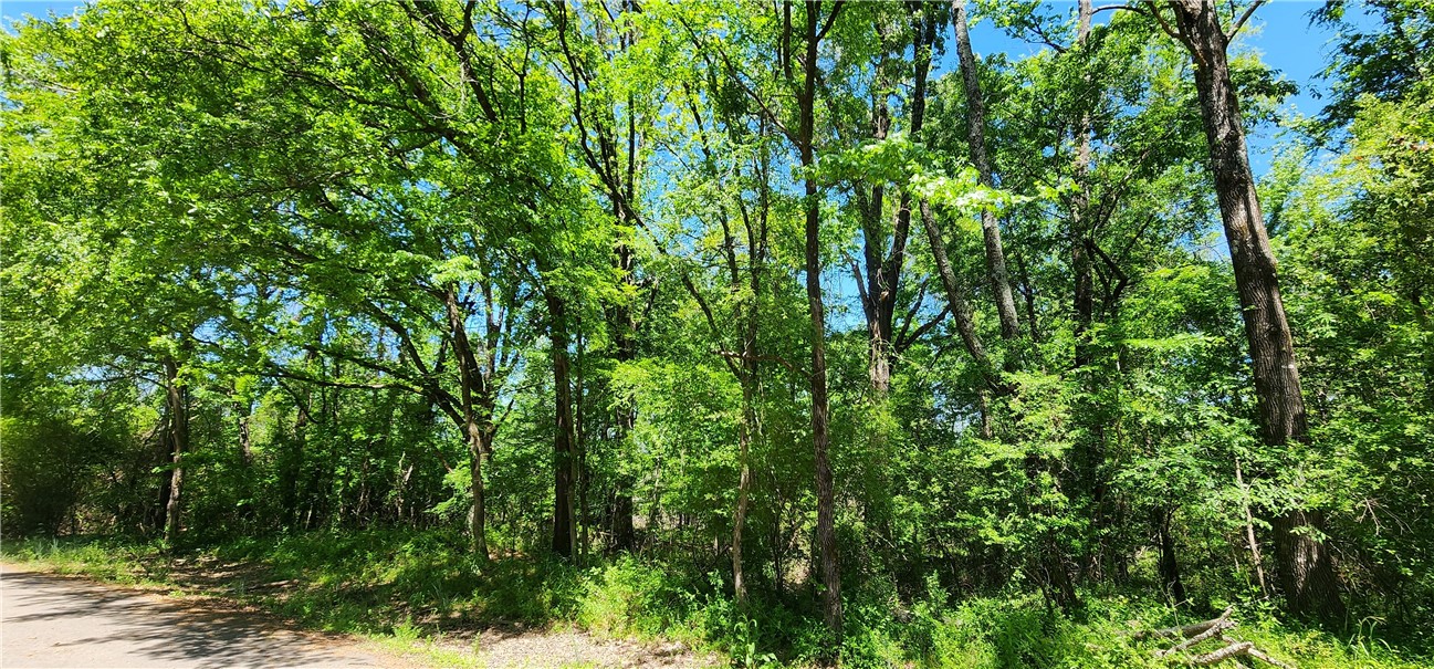 New Hope Acres - Land