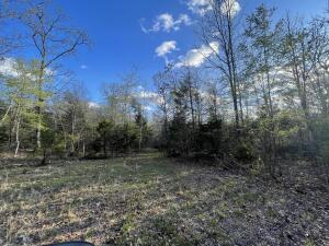 Excellent Wooded 6.9 acres with Hwy 125 Road Frontage in Peel Arkansas.  Just 10 minutes to Highway 125 Marina on Bull Shoals Lake and an hour to Branson MO