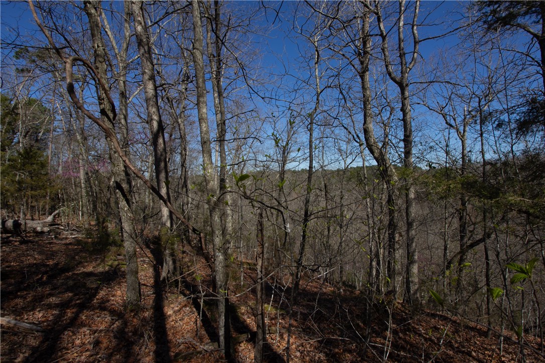 Tanglewood Resort No-2 Rurban - Land