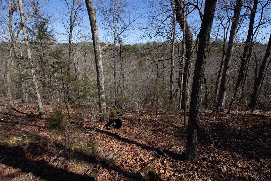 Tanglewood Resort No-2 Rurban - Land