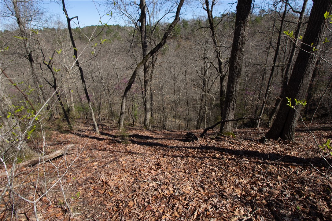 Tanglewood Resort No-2 Rurban - Land