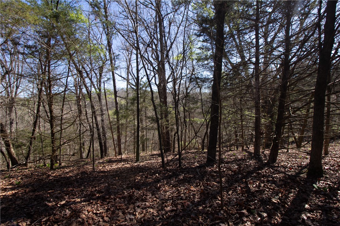 Tanglewood Resort No-2 Rurban - Land