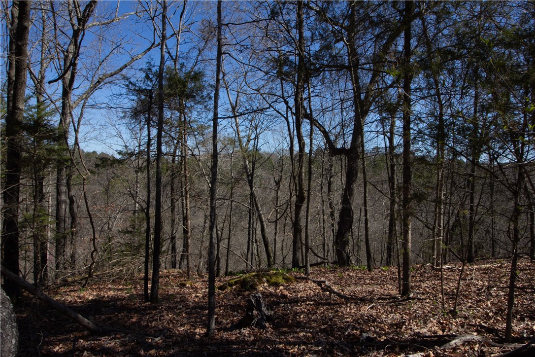 Tanglewood Resort No-2 Rurban - Land
