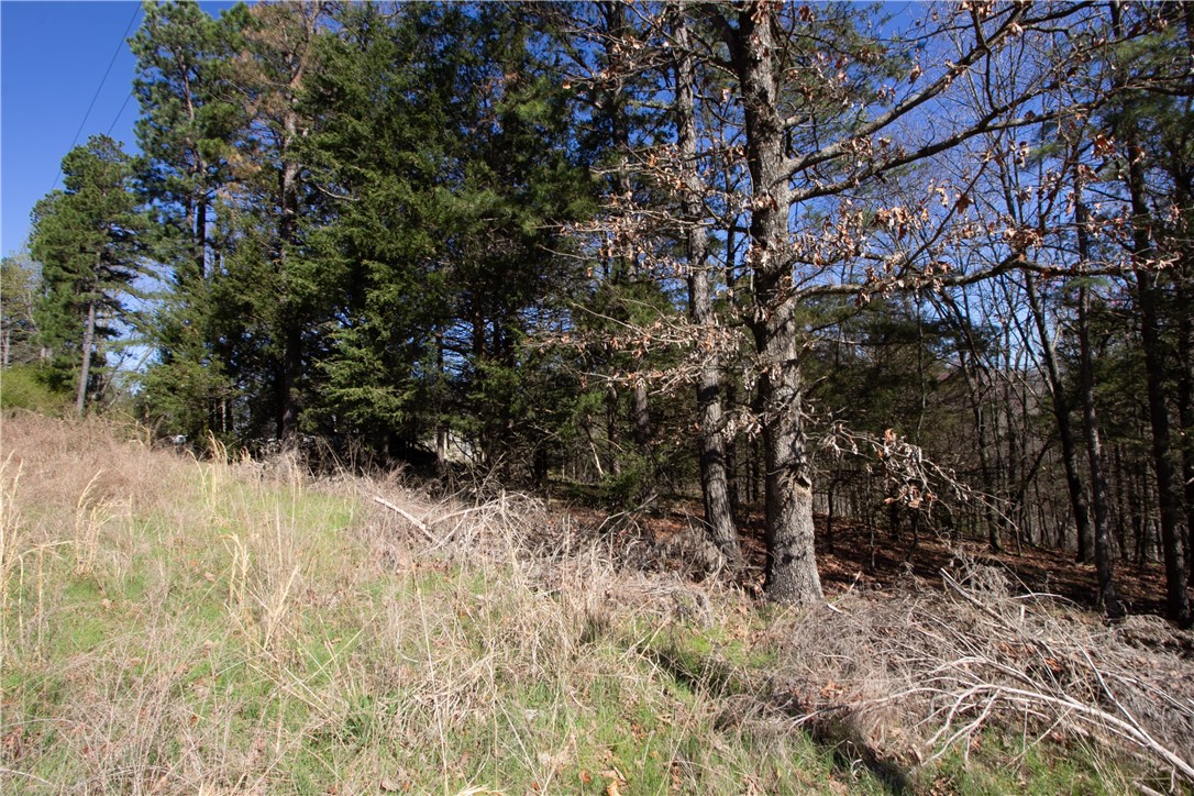 Tanglewood Resort No-2 Rurban - Land