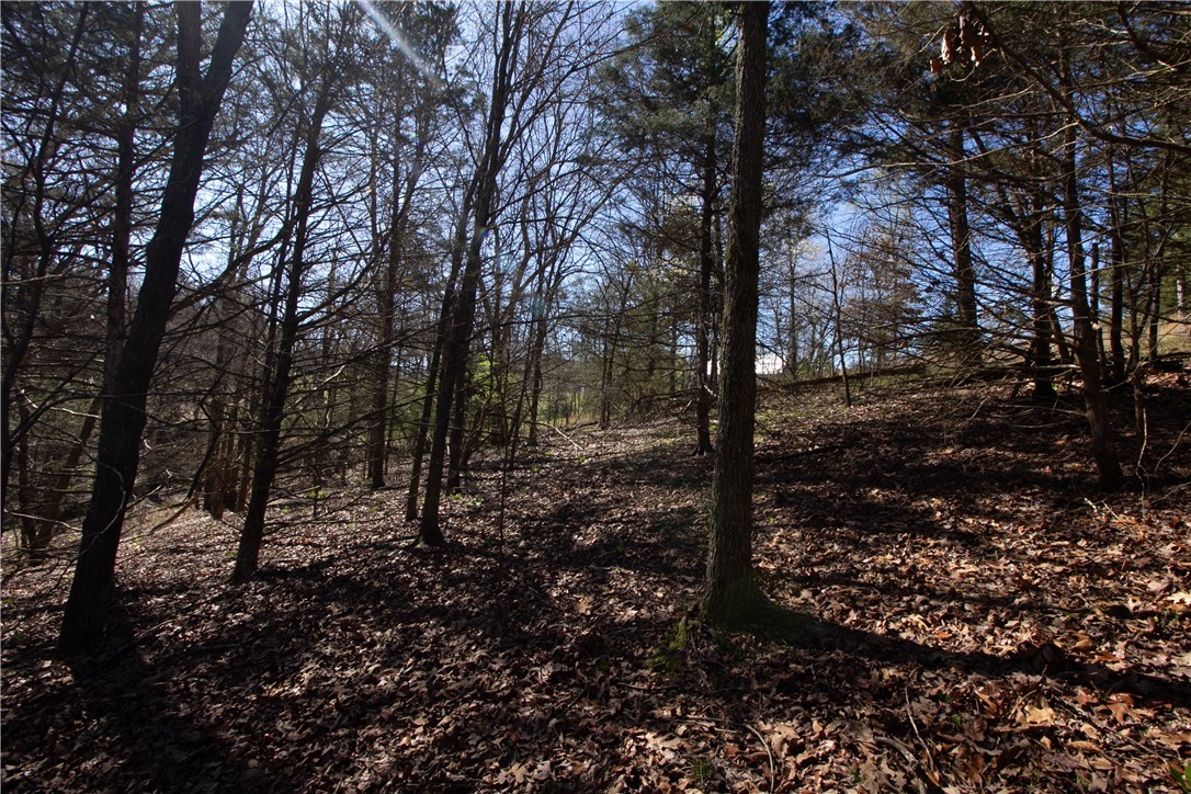 Tanglewood Resort No-2 Rurban - Land