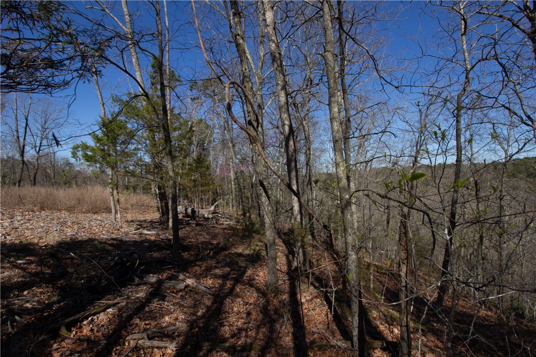 Tanglewood Resort No-2 Rurban - Land