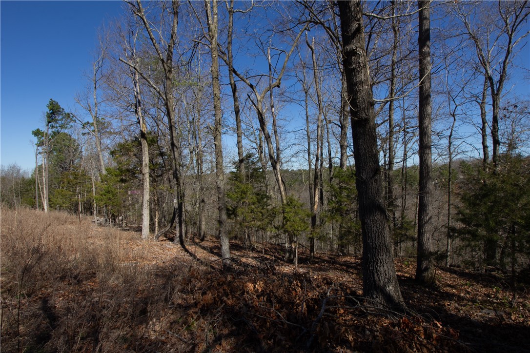 Tanglewood Resort No-2 Rurban - Land