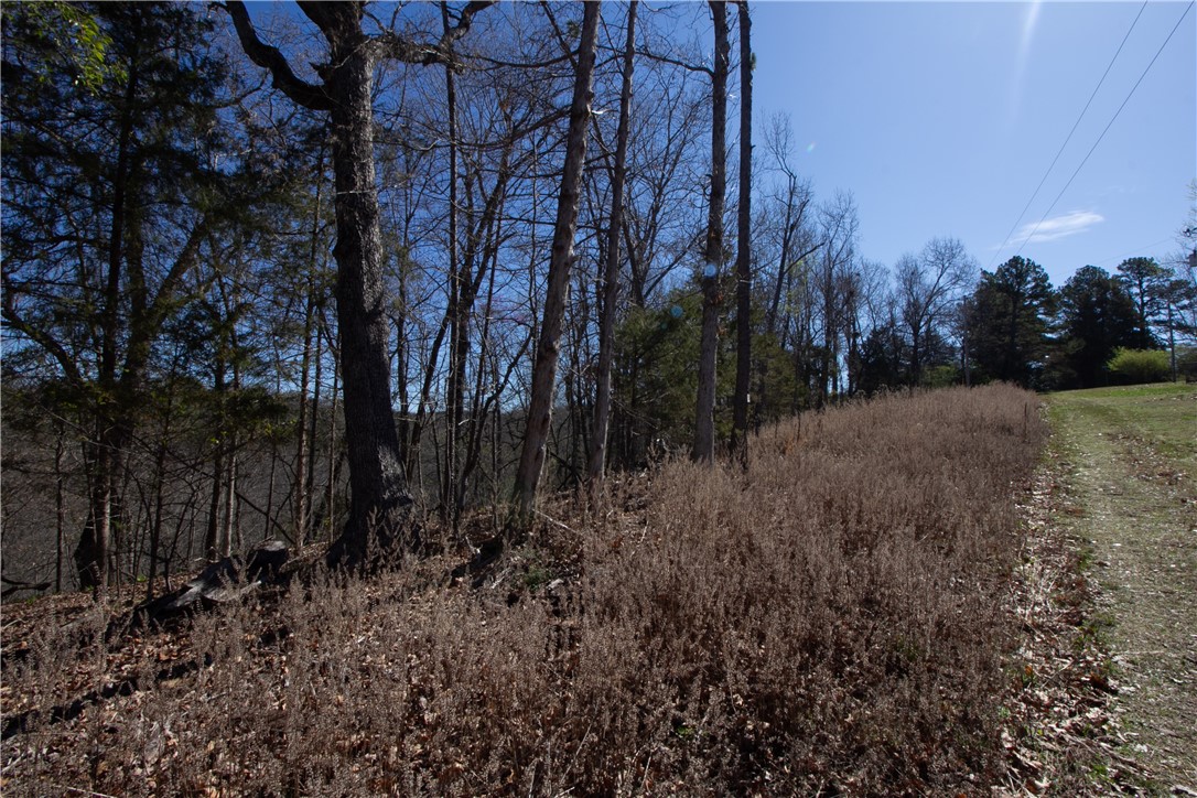 Tanglewood Resort No-2 Rurban - Land
