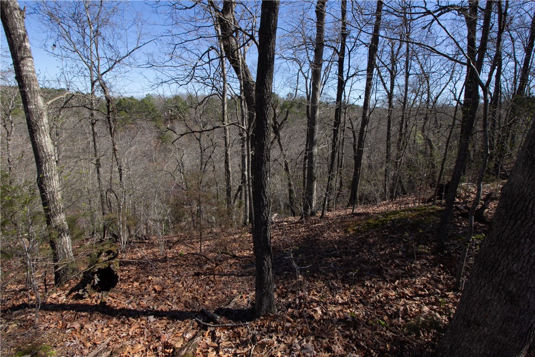 Tanglewood Resort No-2 Rurban - Land