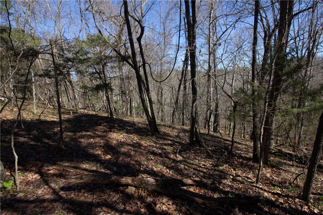 Tanglewood Resort No-2 Rurban - Land