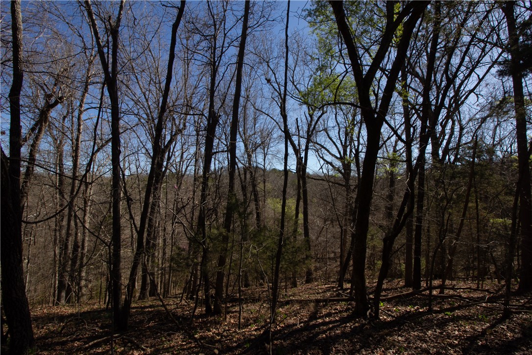 Tanglewood Resort No-2 Rurban - Land