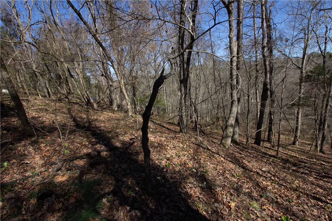 Tanglewood Resort No-2 Rurban - Land