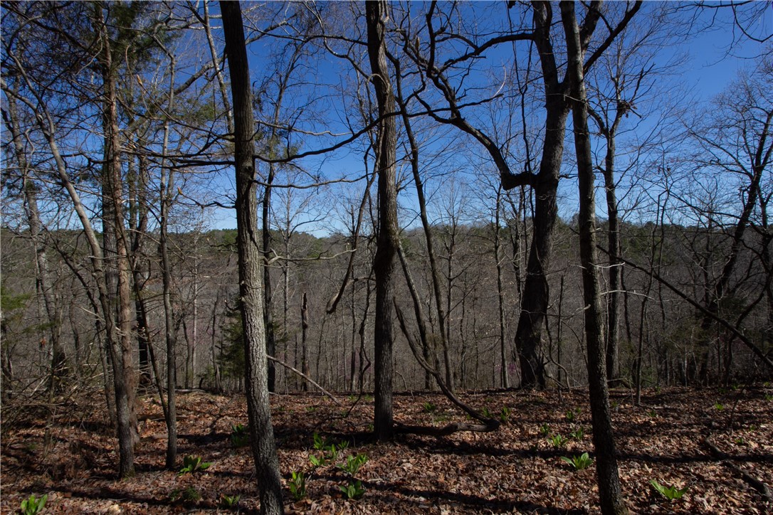Tanglewood Resort No-2 Rurban - Land