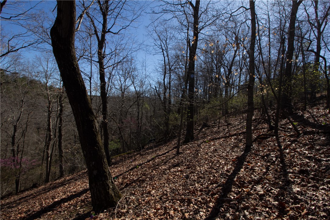 Tanglewood Resort No-2 Rurban - Land