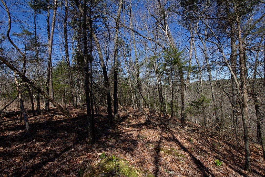 Tanglewood Resort No-2 Rurban - Land