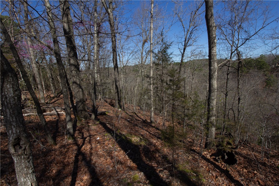 Tanglewood Resort No-2 Rurban - Land