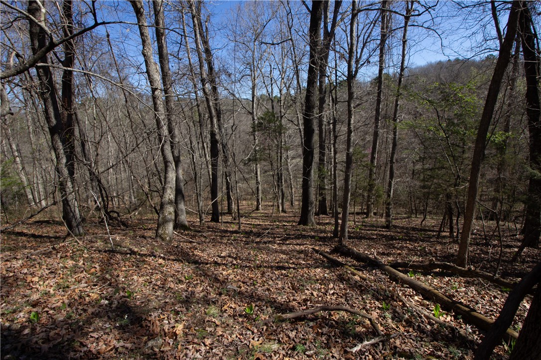 Tanglewood Resort No-2 Rurban - Land