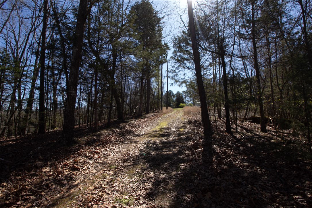 Tanglewood Resort No-2 Rurban - Land