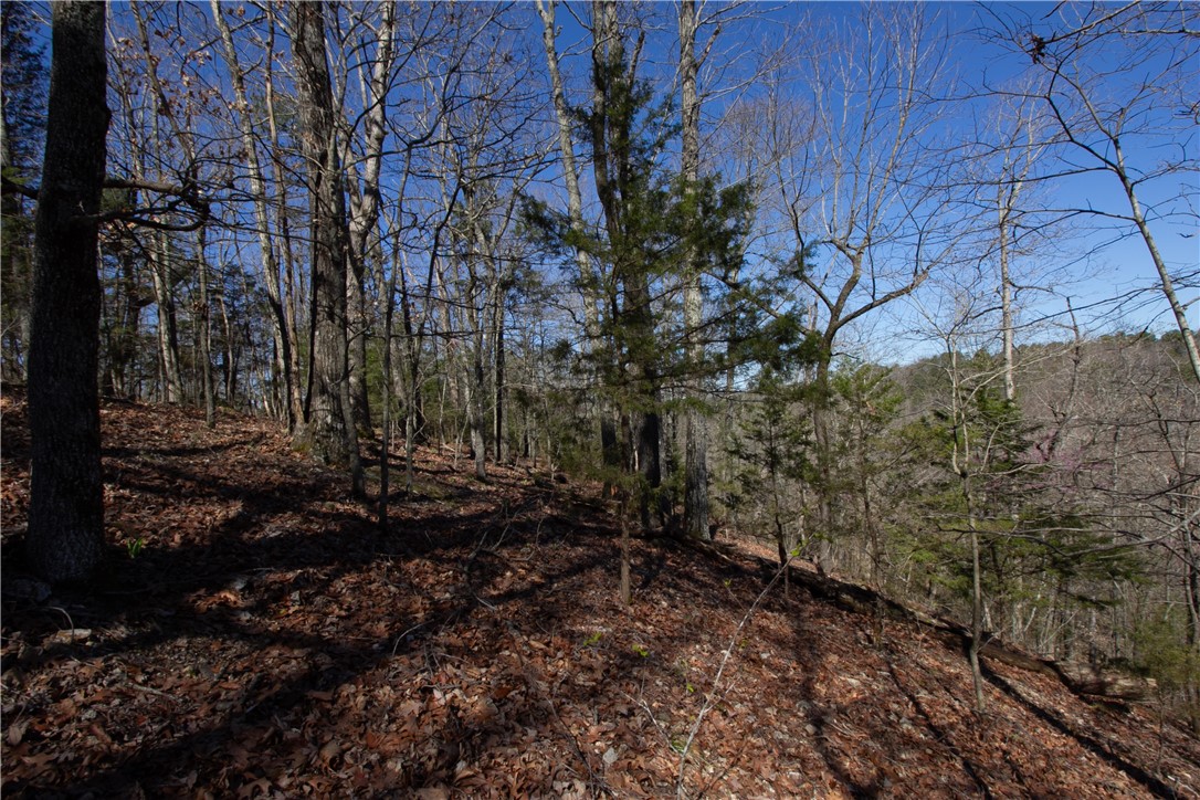 Tanglewood Resort No-2 Rurban - Land