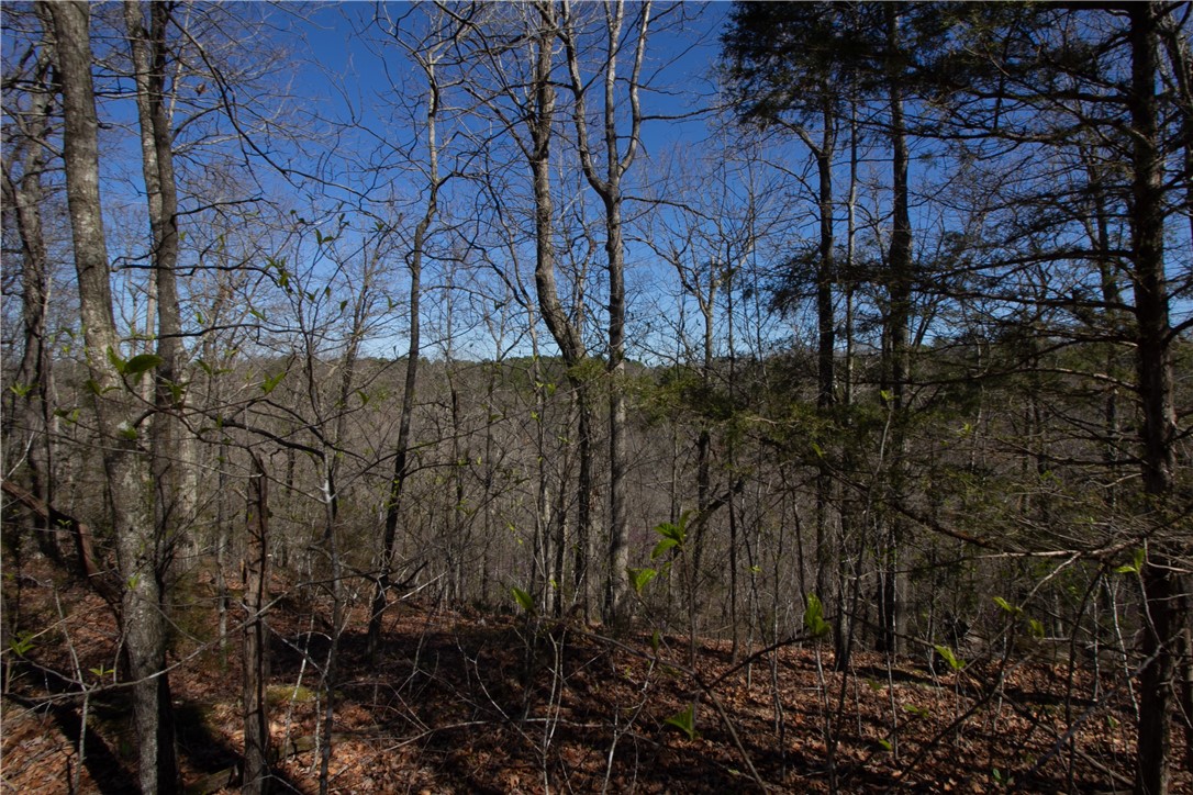 Tanglewood Resort No-2 Rurban - Land