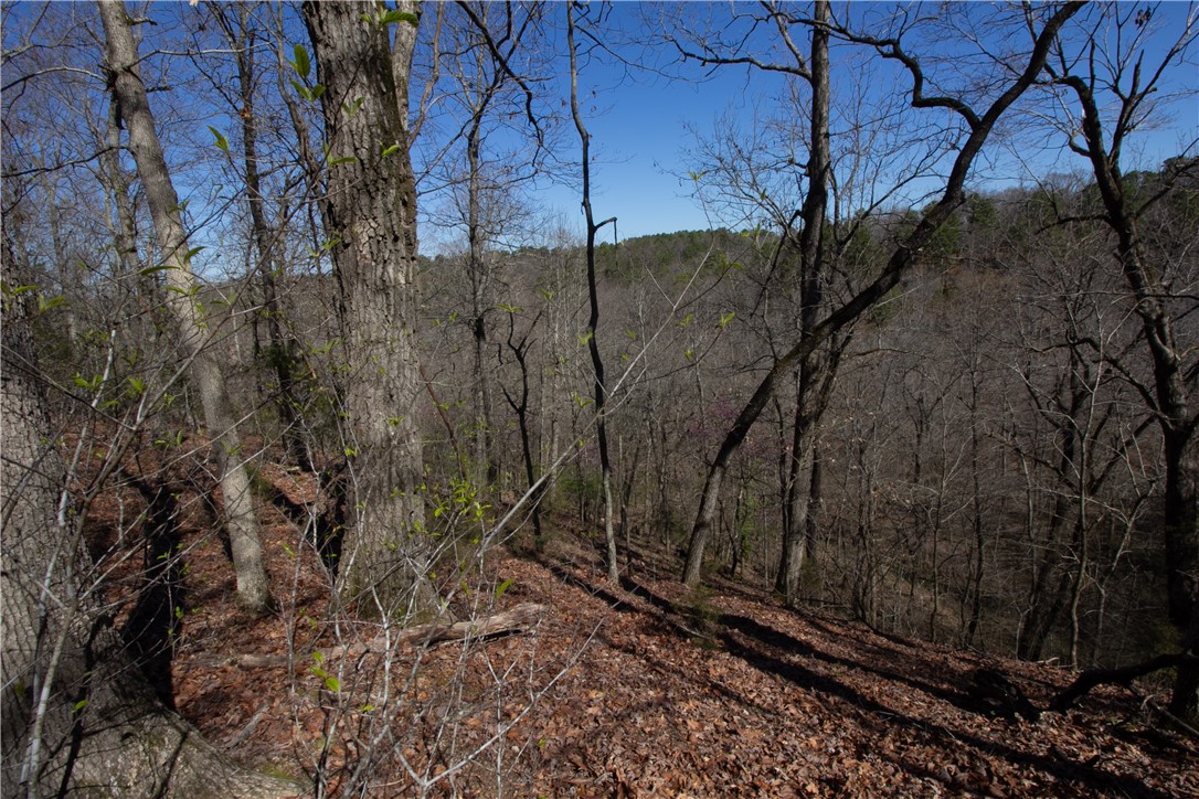 Tanglewood Resort No-2 Rurban - Land