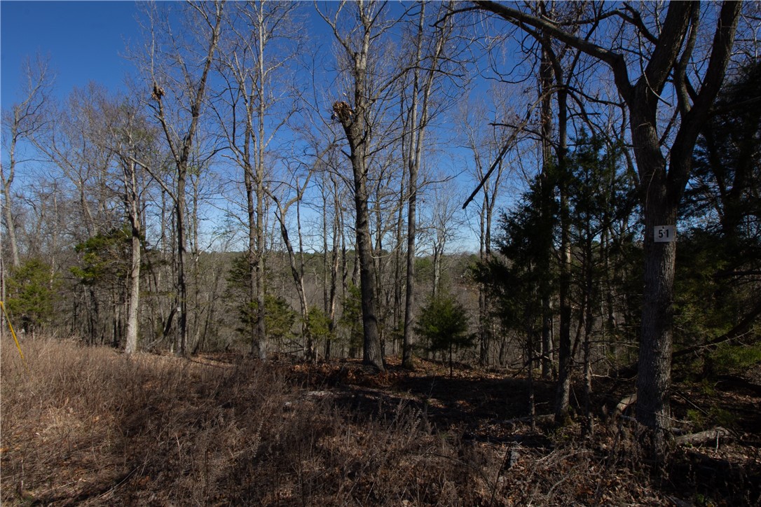 Tanglewood Resort No-2 Rurban - Land