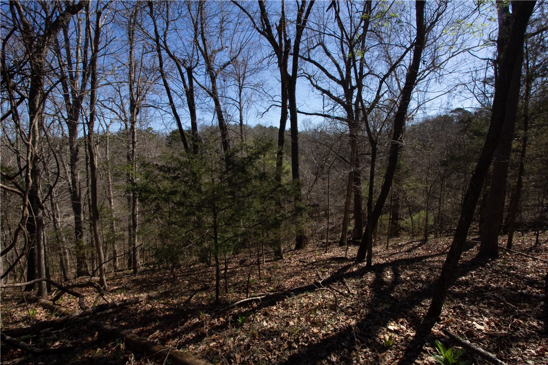 Tanglewood Resort No-2 Rurban - Land