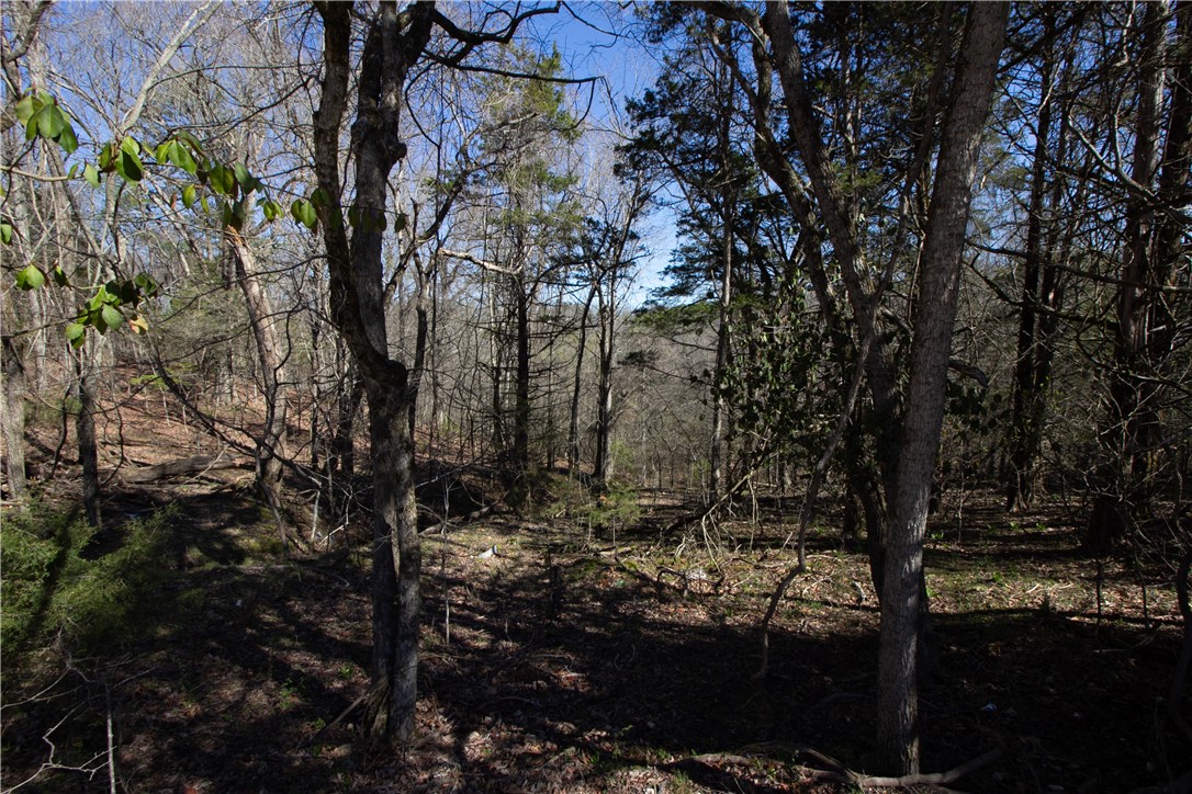 Tanglewood Resort No-2 Rurban - Land