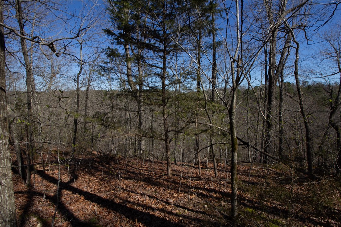 Tanglewood Resort No-2 Rurban - Land