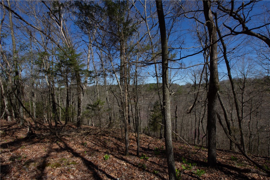 Tanglewood Resort No-2 Rurban - Land