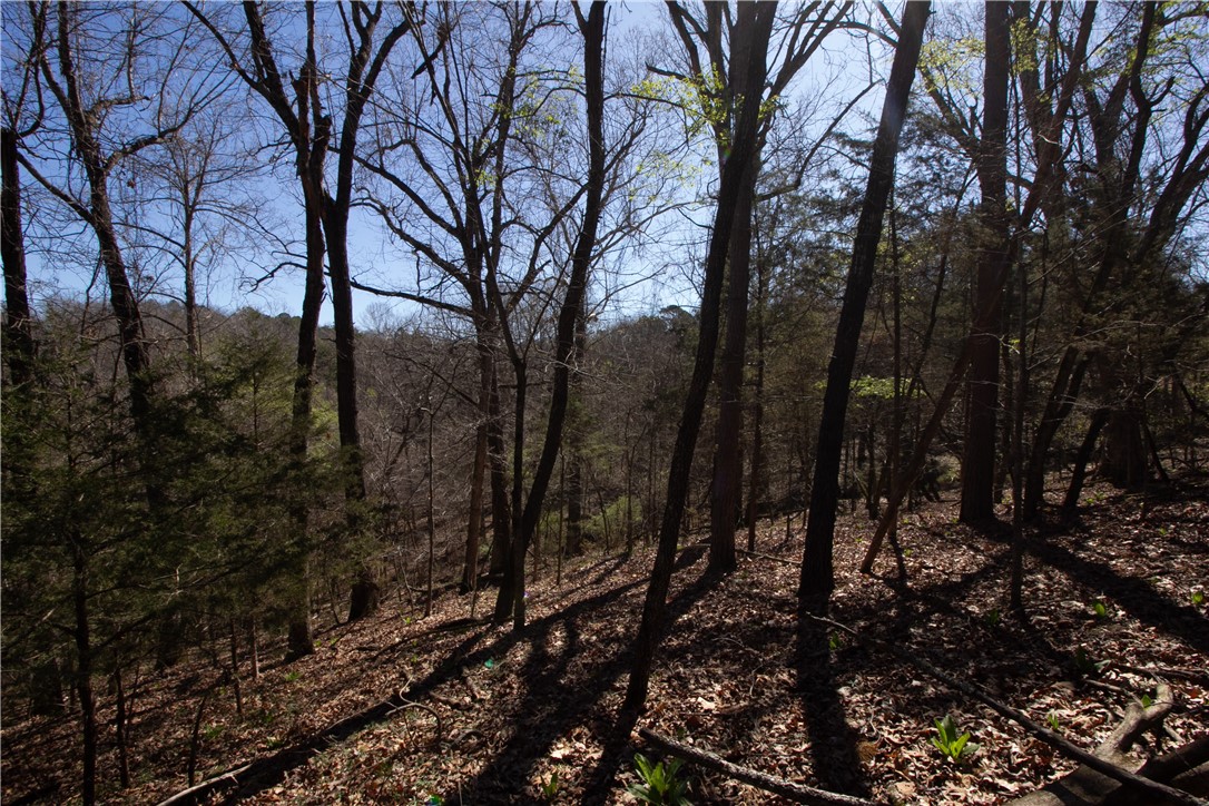 Tanglewood Resort No-2 Rurban - Land