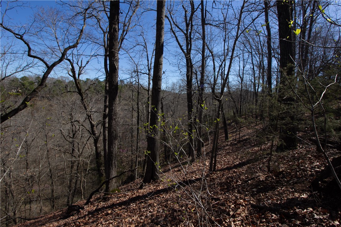 Tanglewood Resort No-2 Rurban - Land