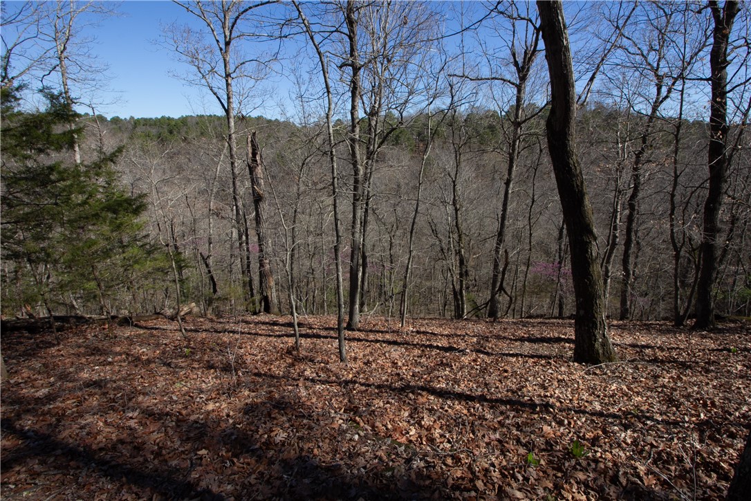 Tanglewood Resort No-2 Rurban - Land