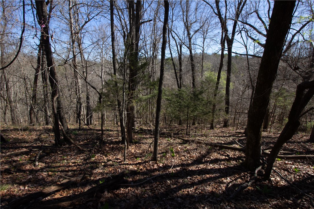 Tanglewood Resort No-2 Rurban - Land