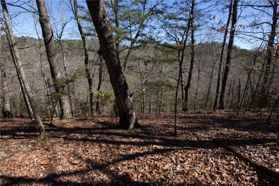 Tanglewood Resort No-2 Rurban - Land