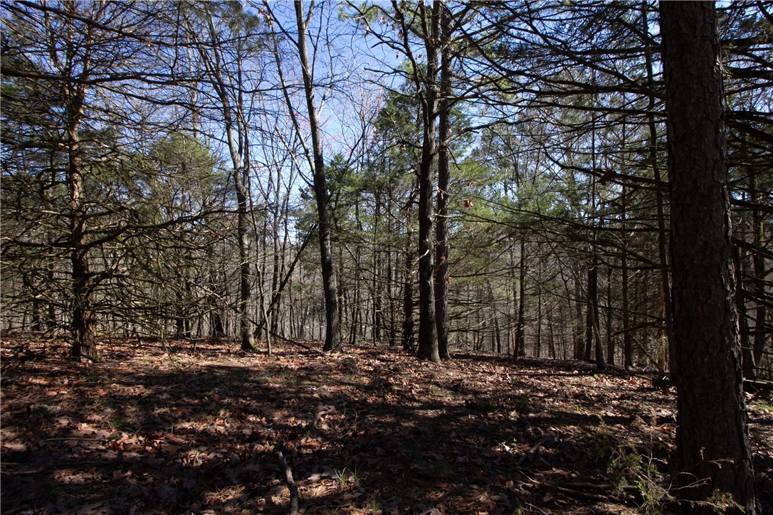 Tanglewood Resort No-2 Rurban - Land