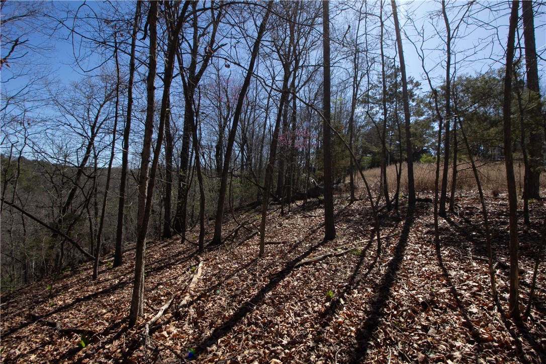 Tanglewood Resort No-2 Rurban - Land