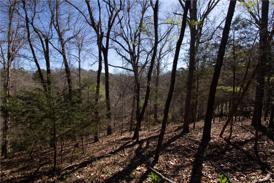 Tanglewood Resort No-2 Rurban - Land