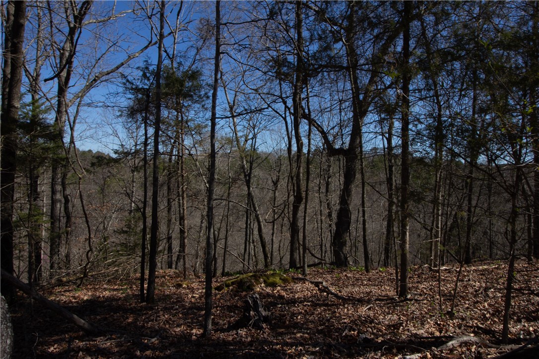 Tanglewood Resort No-2 Rurban - Land