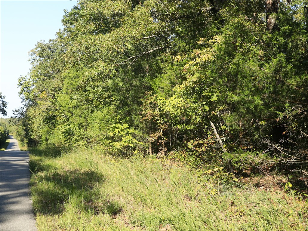 Green Briar - Land