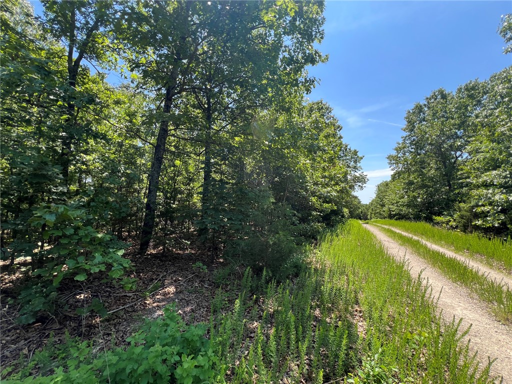 Jones Point Estates - Land
