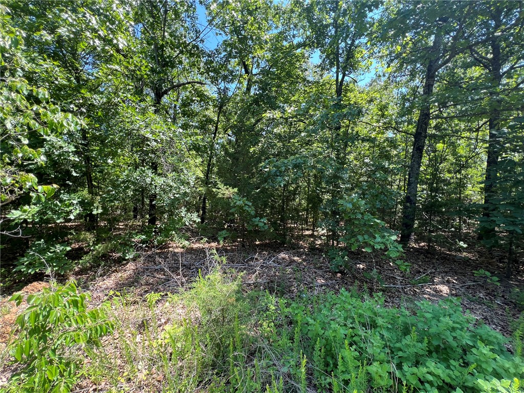 If you have been looking for a quiet place for that lake getaway, look no further. This 1.37 acre lot is tucked into a quiet subdivision with very few neighbors. The light restrictions allow a lot of freedom. Don't miss this one.