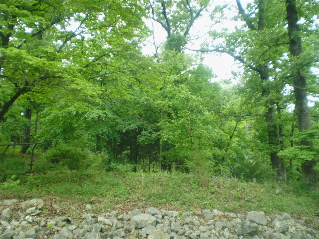 Nestled on 3.5 wooded acres, this beautiful property offers the perfect blend of privacy, nature, and convenience. Accessed by a 30-foot-wide deeded road and rural water line easement, the land is ready for your dream home or peaceful homestead retreat.

Enjoy being just steps from Beaver Lake, where you can launch your boat free of charge and spend your days fishing, boating, or simply soaking in the natural beauty. Tucked away in a quiet rural setting, the property still keeps you only 5 miles from Rogers, giving you quick access to shopping, dining, and local attractions.

Whether you’re looking to build a full-time residence, vacation getaway, or private homestead, this rare acreage offers the best of lake living with the convenience of town nearby.