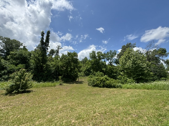 Looking for a place to escape the noise and build your dream? These 7.5 acres offer the peaceful country setting you’ve been searching for. With rolling land, beautiful trees, and room to create your own private retreat, this property is full of possibilities. Whether you envision a home tucked into the woods, a hobby farm, or simply land to enjoy nature, this property is ready for your vision.