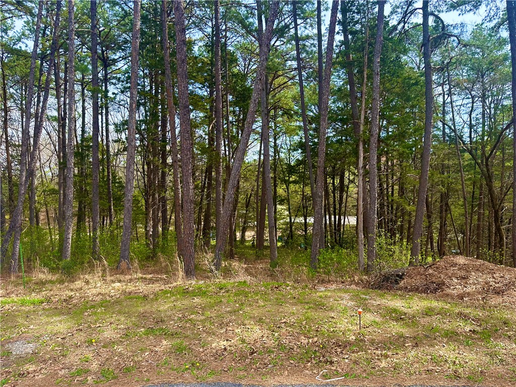 Pine Crest - Land