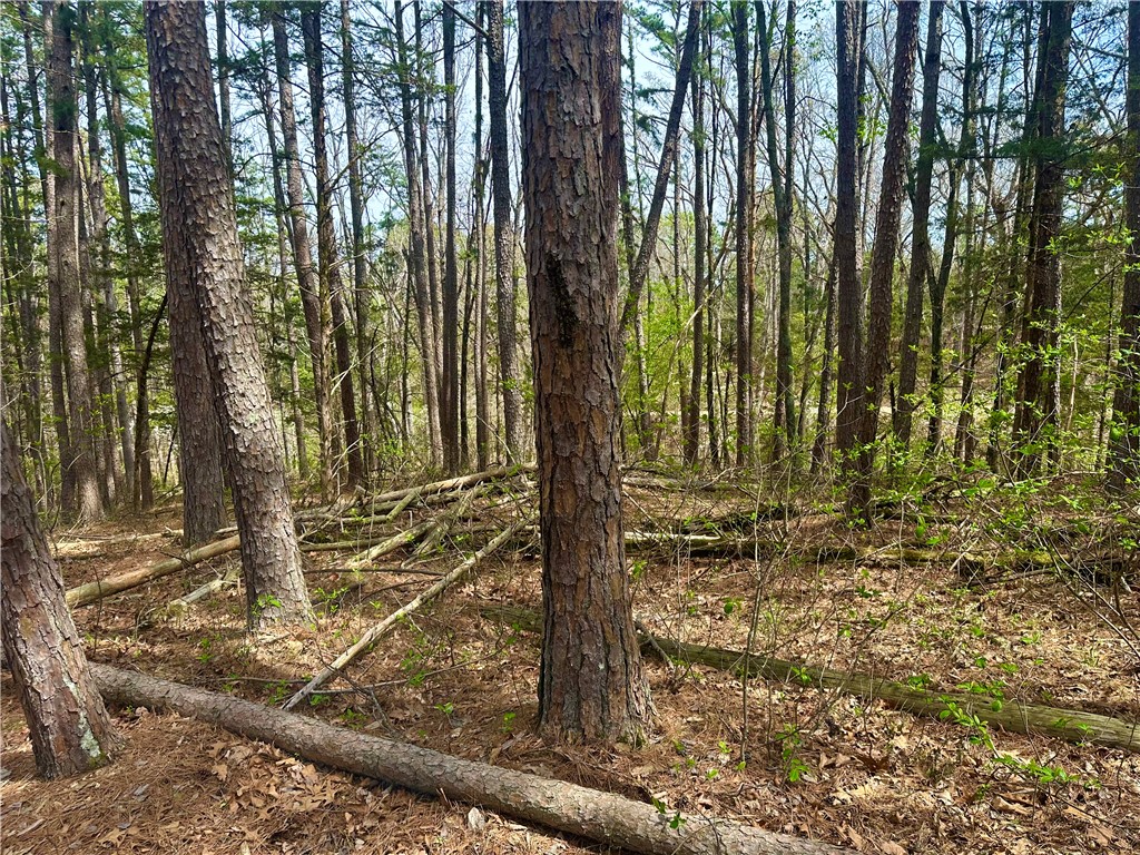 Pine Crest - Land