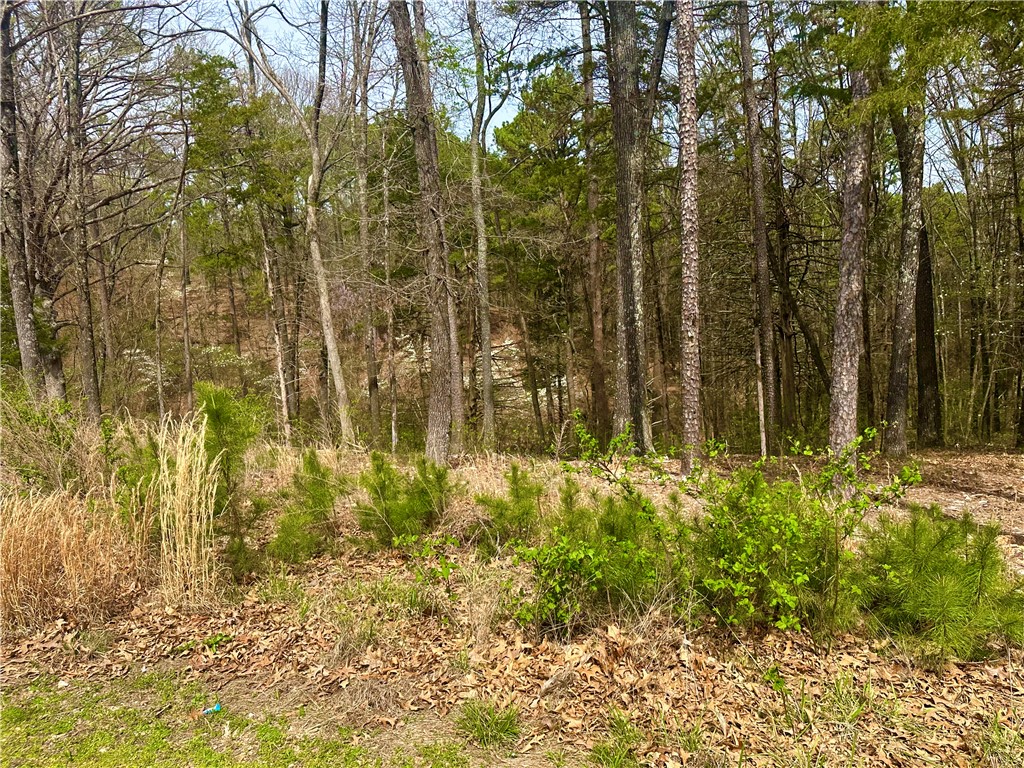 Pine Crest - Land