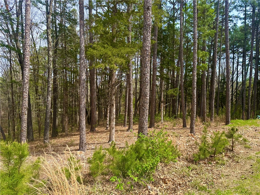 Pine Crest - Land