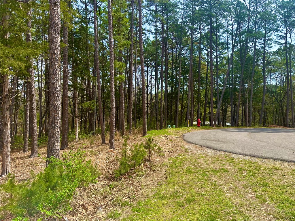 Pine Crest - Land