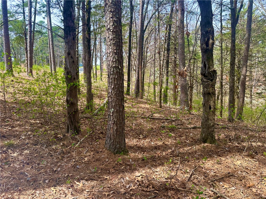 Pine Crest - Land